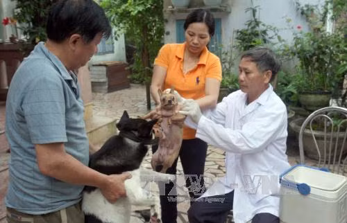 Tiến tới loại trừ bệnh dại ảnh 1