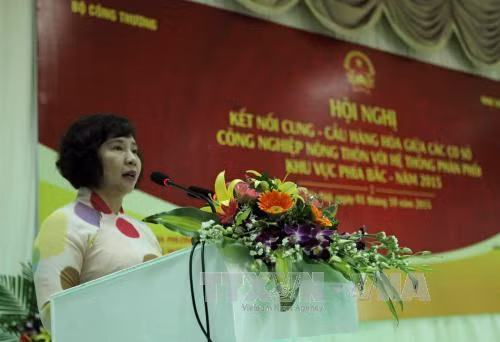 Thực hiện nghiêm chỉ đạo của Tổng Bí thư liên quan Thứ trưởng Hồ Thị Kim Thoa ảnh 1