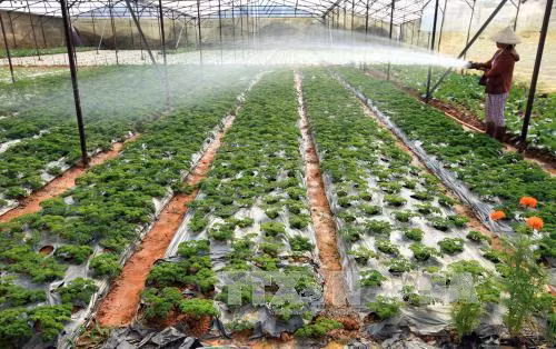 Những sản vật kết tinh từ đất lành ảnh 4