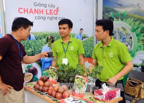 Khoa học và công nghệ hướng đến phát triển nông nghiệp công nghệ cao ảnh 1