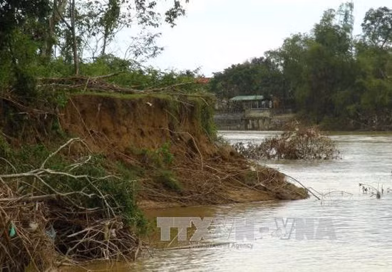 Khánh Hòa: Hàng trăm hộ dân bị ảnh hưởng do bờ sông Cái sạt lở ảnh 1