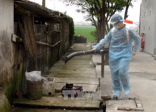 Tăng cường các biện pháp ngăn chặn vi rút cúm gia cầm A/H7N9 vào Việt Nam ảnh 1