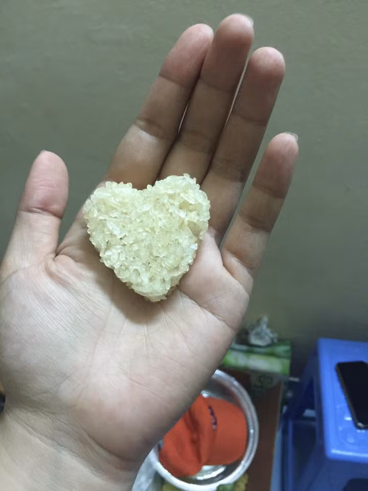 Cơm cháy chà bông hình trái tim cho lễ Valentine ảnh 2