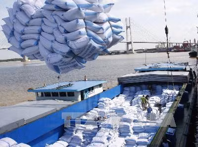 Tăng cường quan hệ hữu nghị Việt Nam - Bangladesh ảnh 1