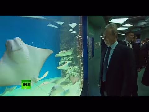 Ông Putin thăm bảo tàng hải dương học lớn nhất châu Âu ảnh 1