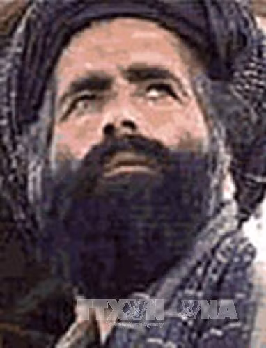 Al-Qaeda thề trung thành với tân thủ lĩnh Taliban ảnh 1
