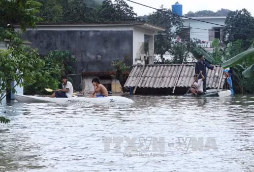 12 người thương vong, trên 3.500 nhà bị ngập do mưa lũ ảnh 1