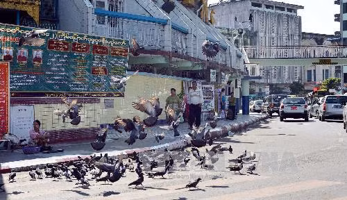 Góc nhìn qua ảnh về Yangon mới lạ ảnh 5