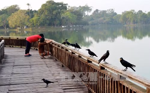Góc nhìn qua ảnh về Yangon mới lạ ảnh 13