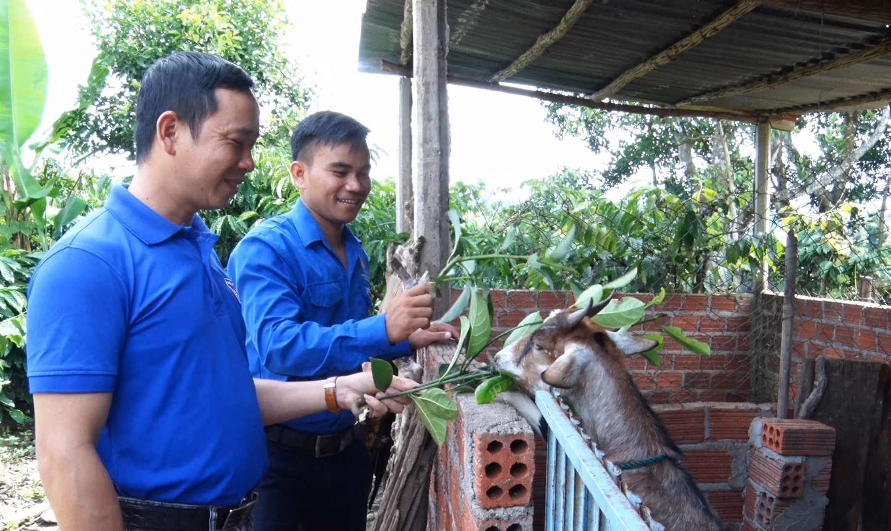potal-cau-lac-bo-phat-trien-kinh-te-cua-truong-thon-9x-7834515.jpg