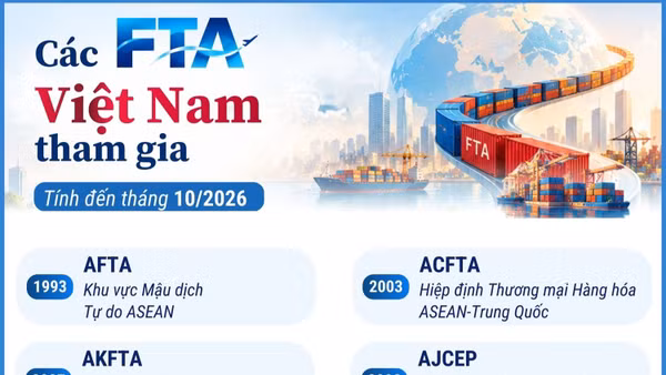 Các FTA Việt Nam tham gia (tính đến tháng 10/2026)