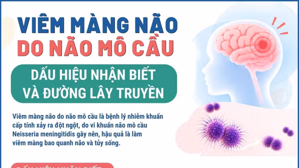 Viêm màng não do não mô cầu: Dấu hiệu nhận biết và đường lây truyền