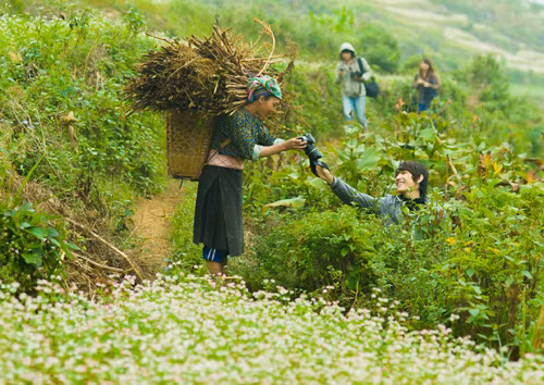 Hà Giang mùa hoa tam giác mạch ảnh 2