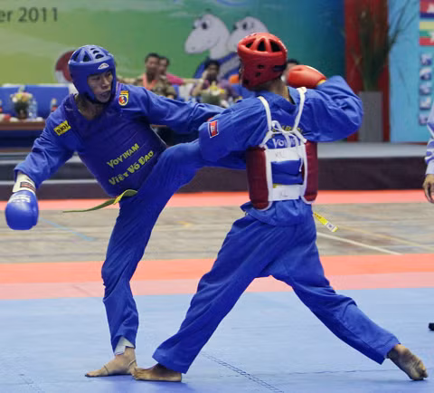 Vovinam Việt Nam giành huy chương vàng đầu tiên ảnh 1