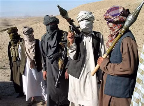 Taliban tiếp tục từ chối đàm phán với Chính phủ Pakistan ảnh 1