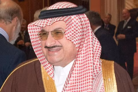  Saudi Arabia tự hành động để đảm bảo an ninh khu vực ảnh 1