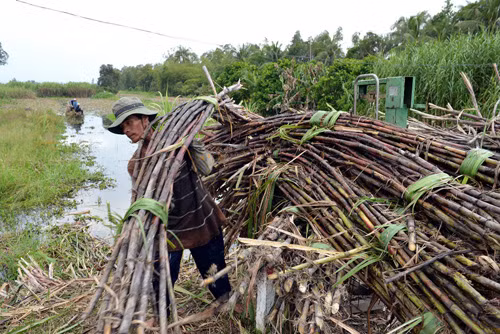 Nông dân trước xu thế hội nhập ảnh 1