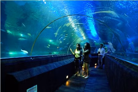 Đến Times City thưởng lãm “vũ điệu nước” lớn nhất Việt Nam ảnh 3