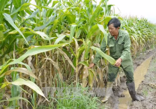 'Cầu nối' giữa nhân dân với chính quyền ảnh 1