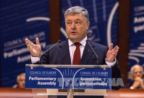 Ukraine cân nhắc trưng cầu ý dân về gia nhập NATO và EU ảnh 1