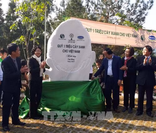 Phó Chủ tịch nước làm việc tại Cao Bằng ảnh 1