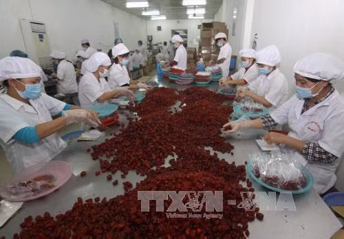Phòng chống ngộ độc thực phẩm dịp Tết Nguyên đán ảnh 1