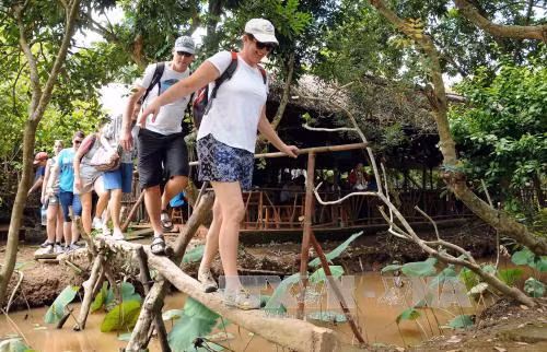Du lịch sinh thái Tiền Giang hấp dẫn du khách ảnh 1