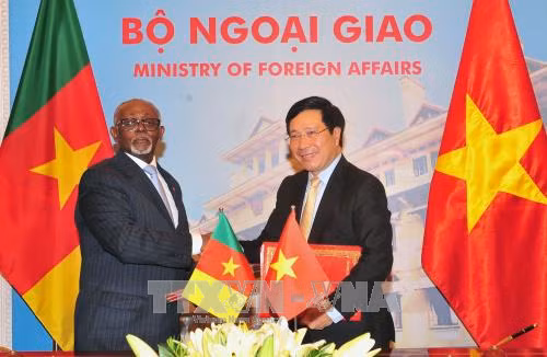 Tăng cường quan hệ song phương Việt Nam - Cameroon ​ ảnh 1