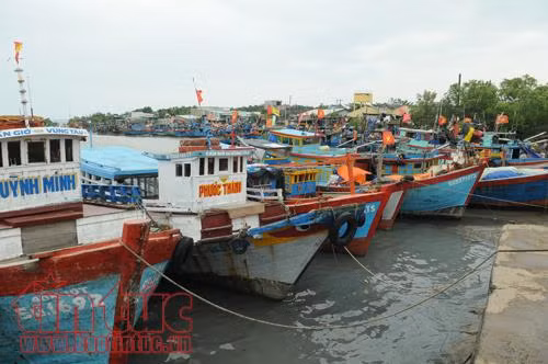 Hàng ngàn người dân tránh trú an toàn trước giờ bão 16 đổ bộ ảnh 10