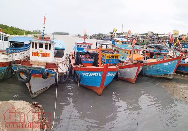 Người dân biển Cần Giờ khẩn trương tránh trú bão số 16 ảnh 6