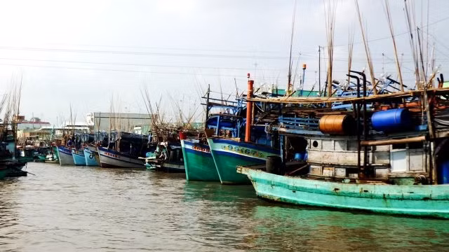 Các tỉnh đồng bằng sông Cửu Long sẵn sàng ứng phó bão Tembin ảnh 2