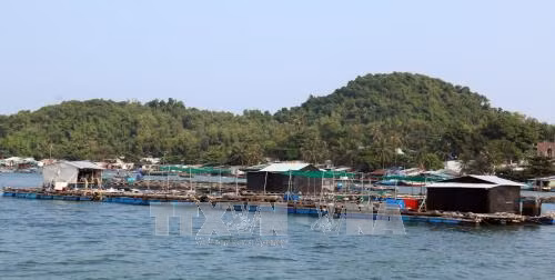 Xã đảo Tiên Hải vững vàng nơi 'đầu sóng ngọn gió' ảnh 2