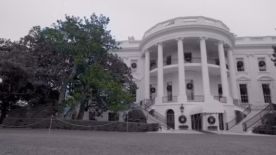 Lý do bà Melania Trump cho chặt cây mộc lan 200 tuổi trong Nhà Trắng ảnh 1