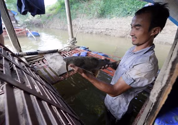 Hội nhập để tạo cơ hội việc làm cho đồng bào ảnh 1