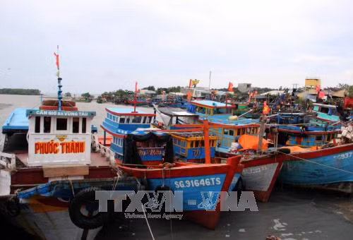 Ứng phó với bão số 16: Huy động lực lượng trực 24/24 giờ để kịp thời hỗ trợ người dân ảnh 1