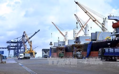 Xử lý các cá nhân để 213 container 'bốc hơi' ảnh 1