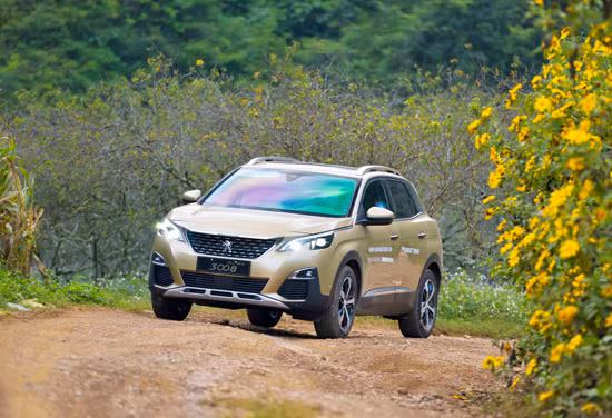 Peugeot 5008 và 3008 ‘sốt’ sau hai tuần ra mắt ảnh 1