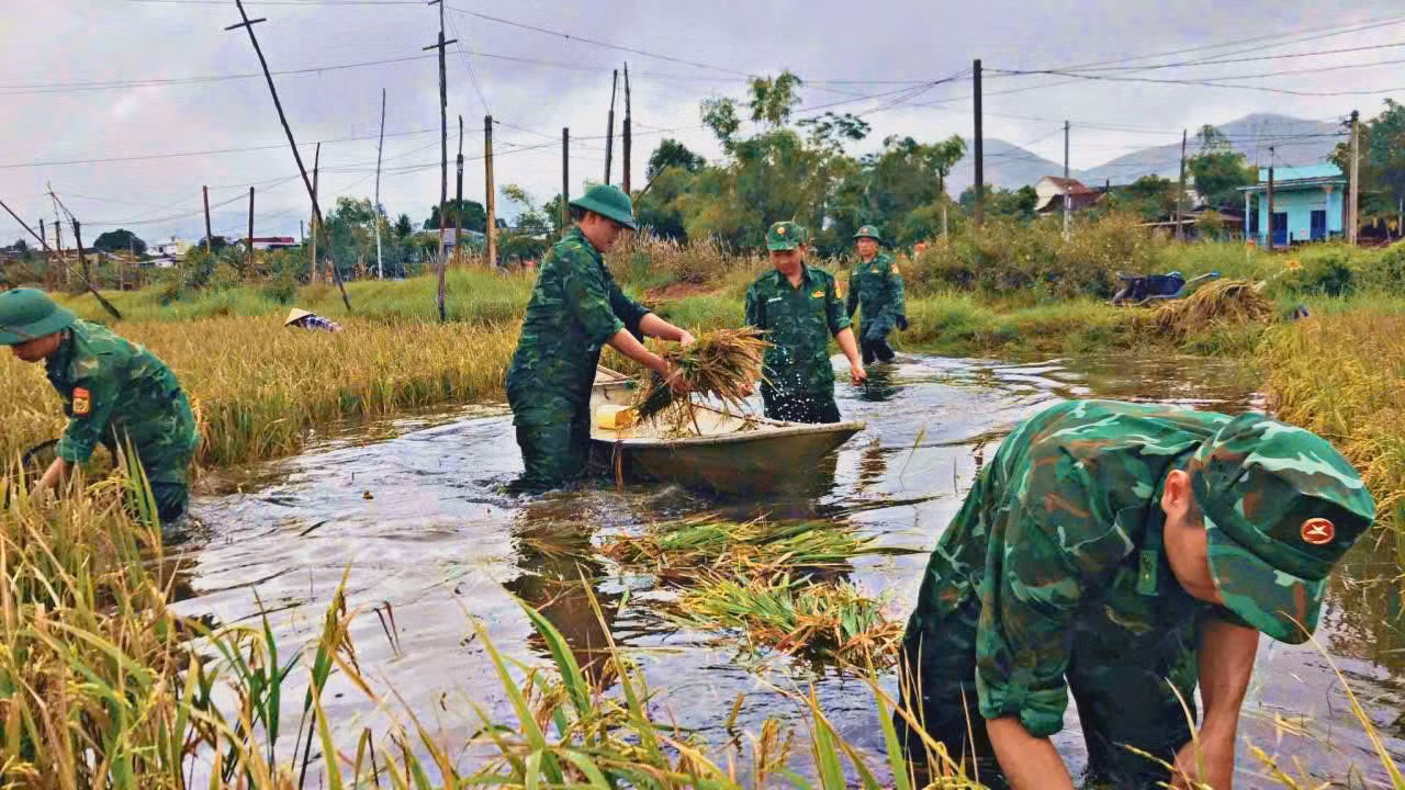 gatlua4.jpg