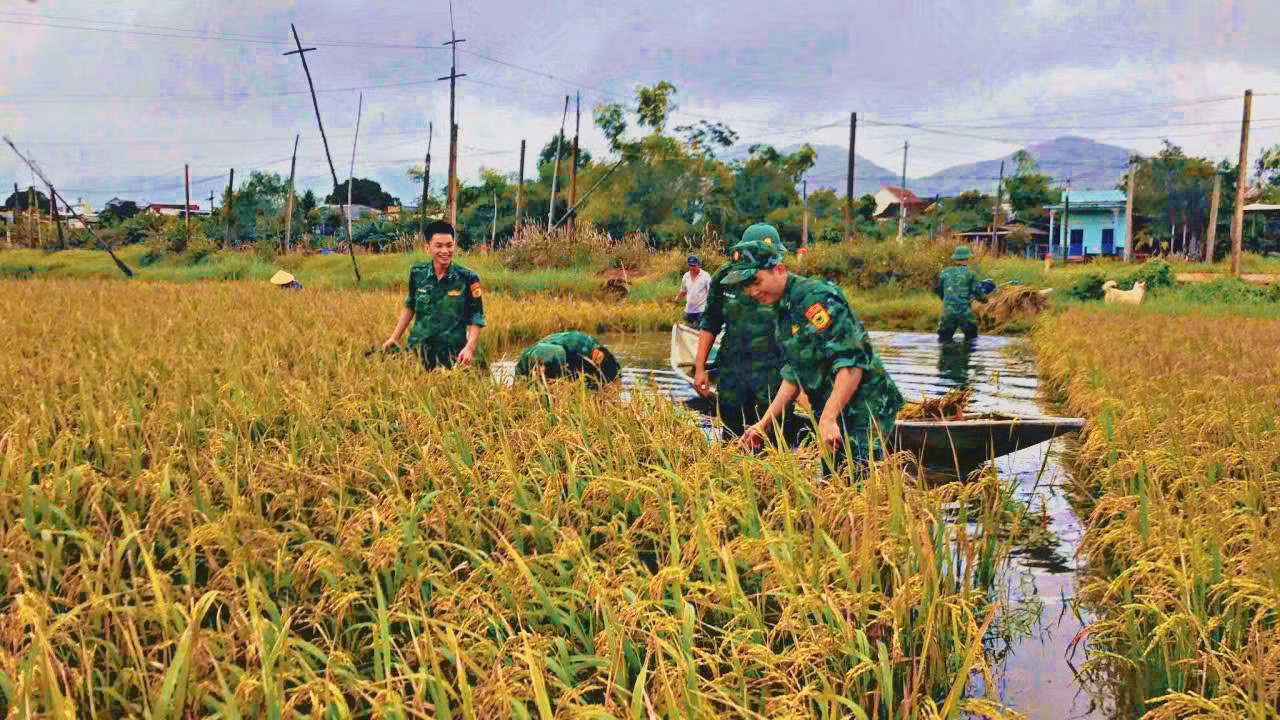 gatlua3.jpg