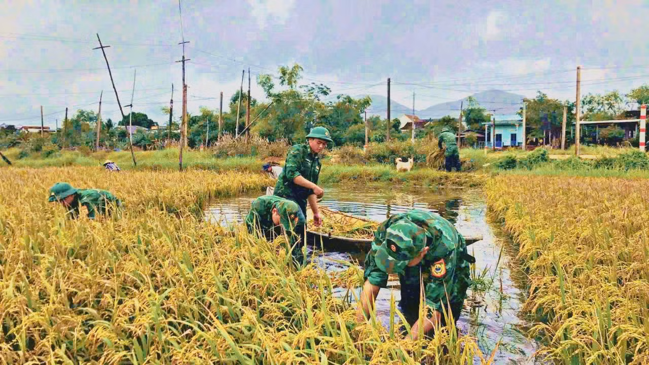 gatlua1.jpg