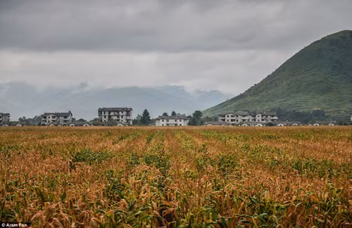 Một Triều Tiên 'vui tươi' khiến du khách bất ngờ ảnh 10