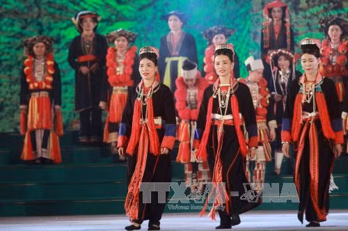 Khai mạc Ngày hội văn hóa dân tộc Dao toàn quốc lần thứ nhất ảnh 3