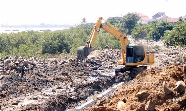 Gấp rút gia cố đê kè, bảo vệ hàng nghìn hộ dân trước mùa lũ