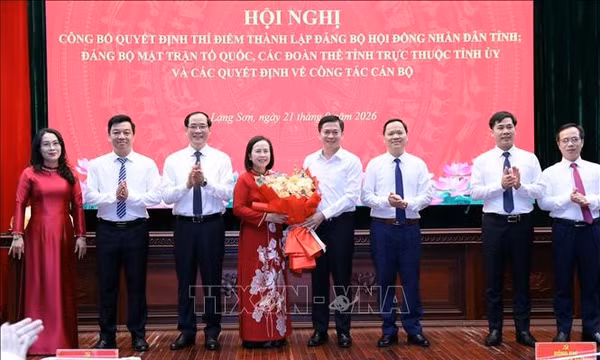 Thí điểm thành lập Đảng bộ HĐND, Đảng bộ MTTQ, các đoàn thể Lạng Sơn