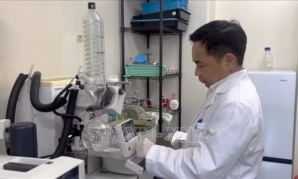 Dấu ấn khoa học của Giáo sư Trần Đăng Xuân hướng về Việt Nam