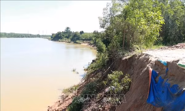 Bờ sông Thạch Hãn sạt lở nghiêm trọng, người dân mong sớm có giải pháp