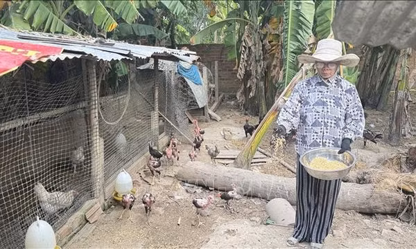 Đắk Lắk: 44 xã, phường đề nghị hoàn trả hơn 155 tỷ đồng hỗ trợ