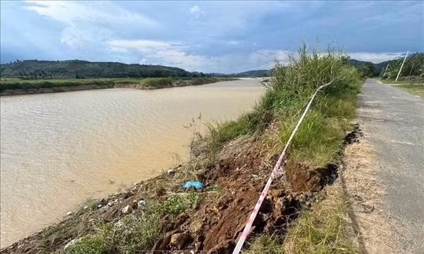 Chưa xử lý tận gốc việc người dân liên tục mất đất canh tác 