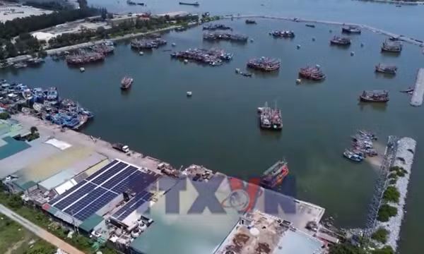 Quyết tâm gỡ thẻ vàng IUU trong năm 2026