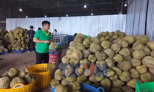 Xuất khẩu tăng tốc về đích
